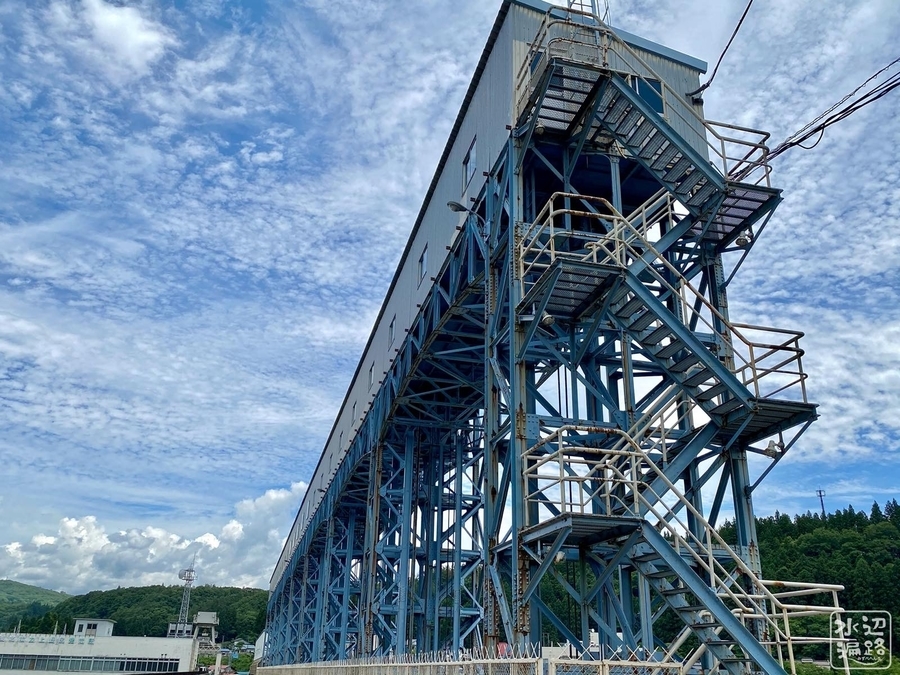 f:id:cippillo:20220111081052j:plain