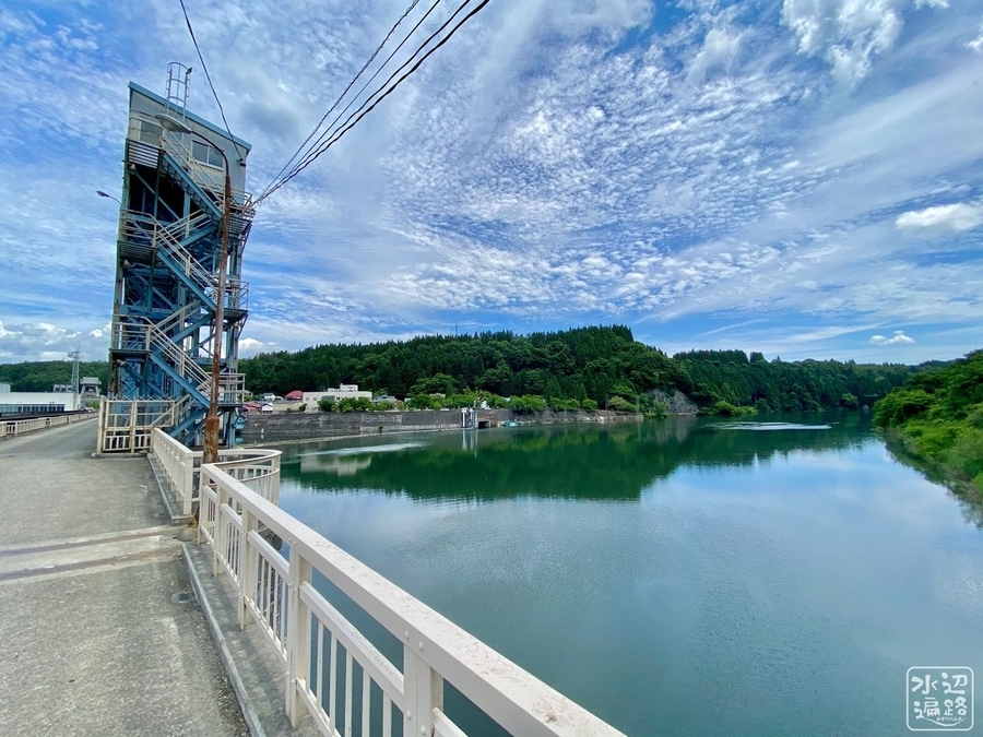 f:id:cippillo:20220111081102j:plain