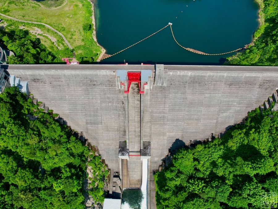 f:id:cippillo:20220111083835j:plain