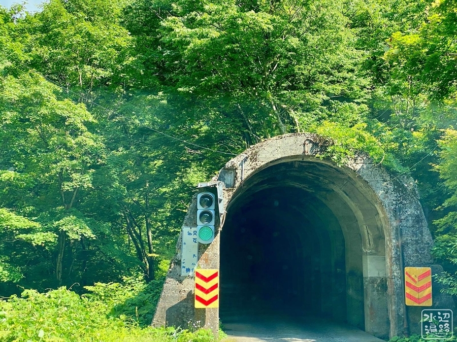 f:id:cippillo:20220111083917j:plain