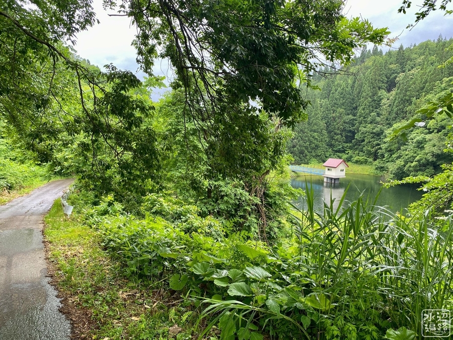 f:id:cippillo:20220111095115j:plain