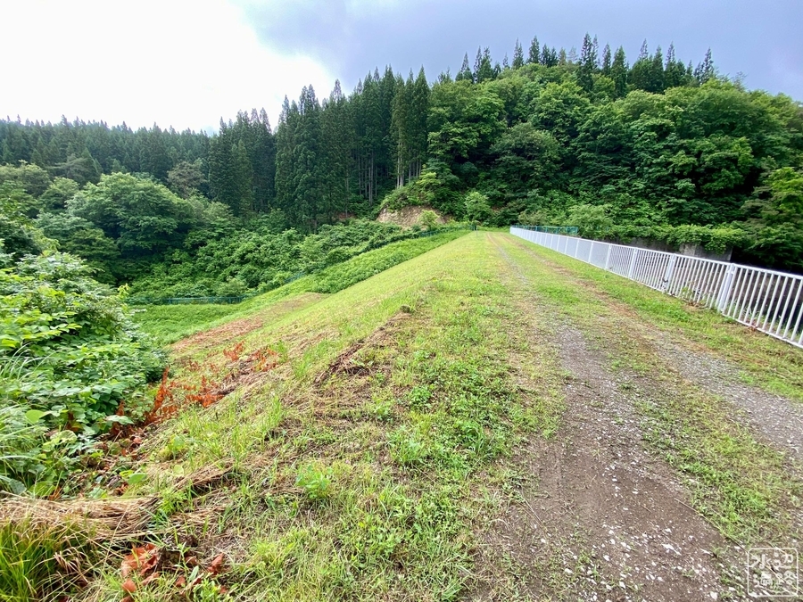 f:id:cippillo:20220111133147j:plain