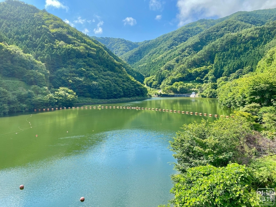 f:id:cippillo:20220112090540j:plain