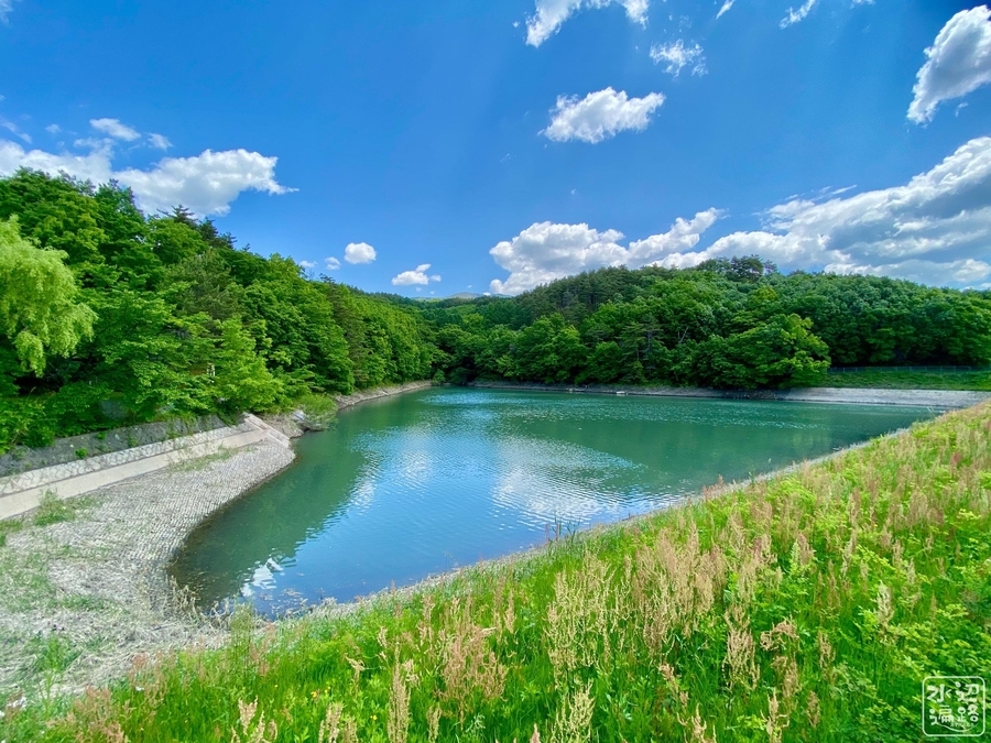 f:id:cippillo:20220112201004j:plain