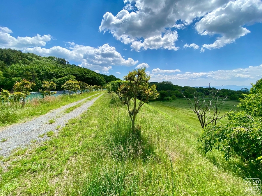 f:id:cippillo:20220112201021j:plain