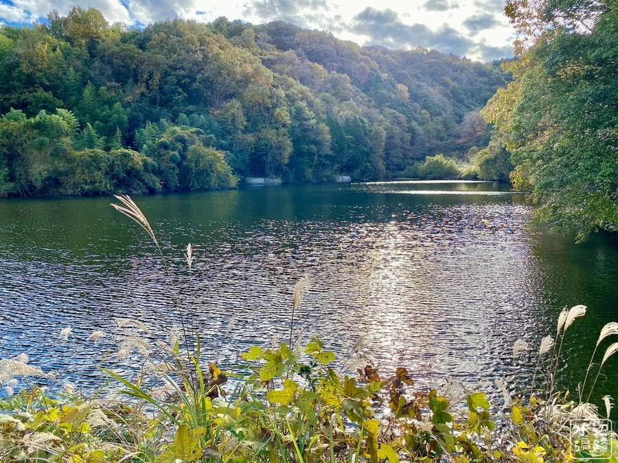 f:id:cippillo:20220114005253j:plain