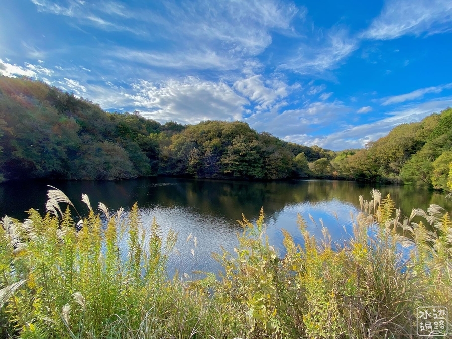 f:id:cippillo:20220114010200j:plain