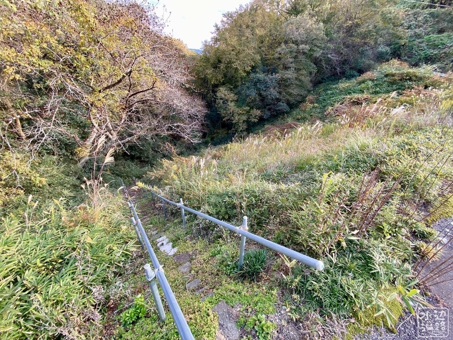 f:id:cippillo:20220114010206j:plain