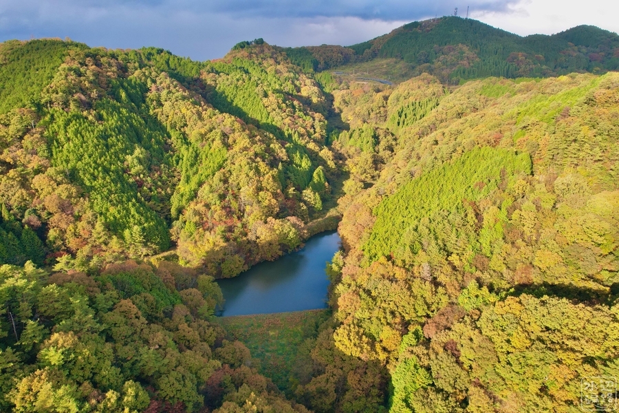 f:id:cippillo:20220114085528j:plain