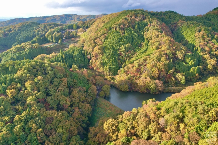 f:id:cippillo:20220114085541j:plain