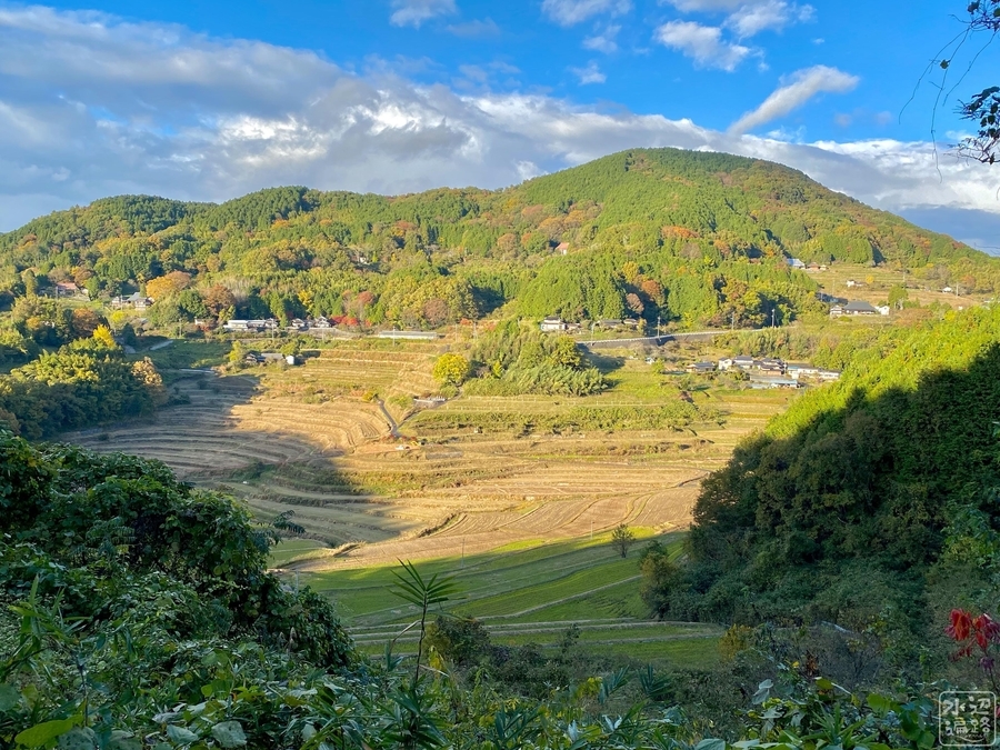 f:id:cippillo:20220114090311j:plain