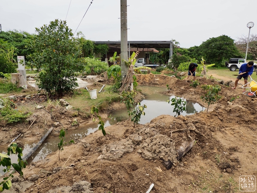 f:id:cippillo:20220116094305j:plain