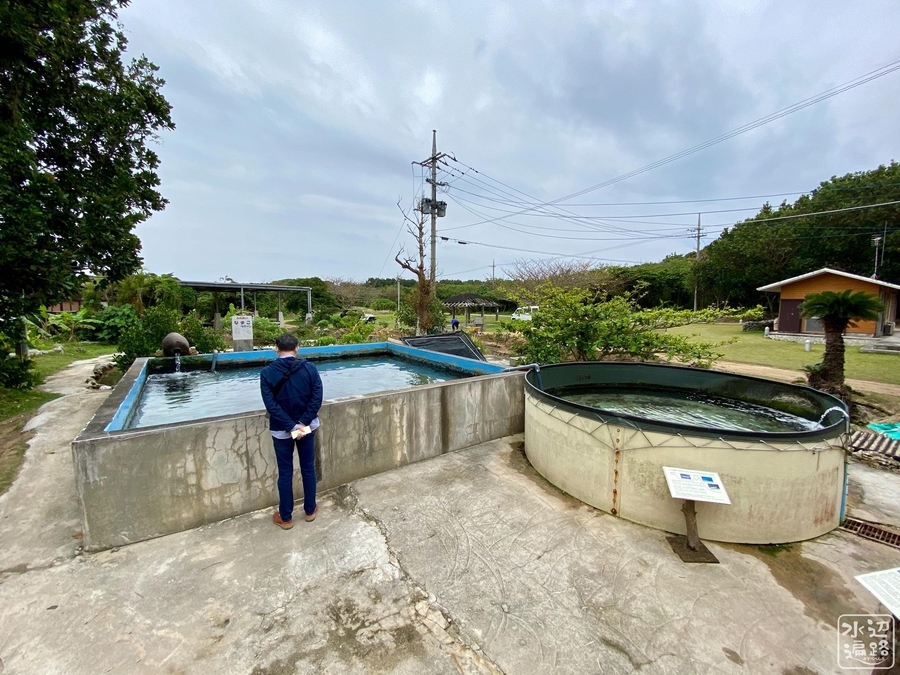 f:id:cippillo:20220117085029j:plain