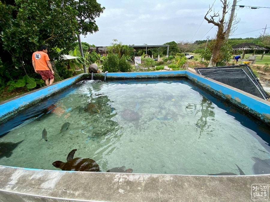 f:id:cippillo:20220117085036j:plain