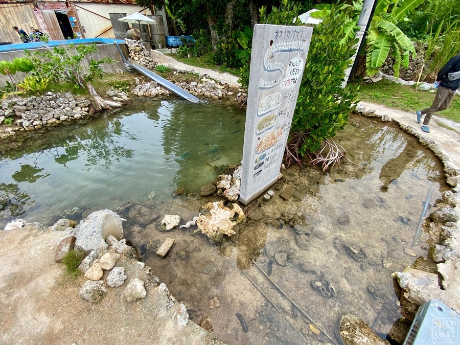 f:id:cippillo:20220117085218j:plain