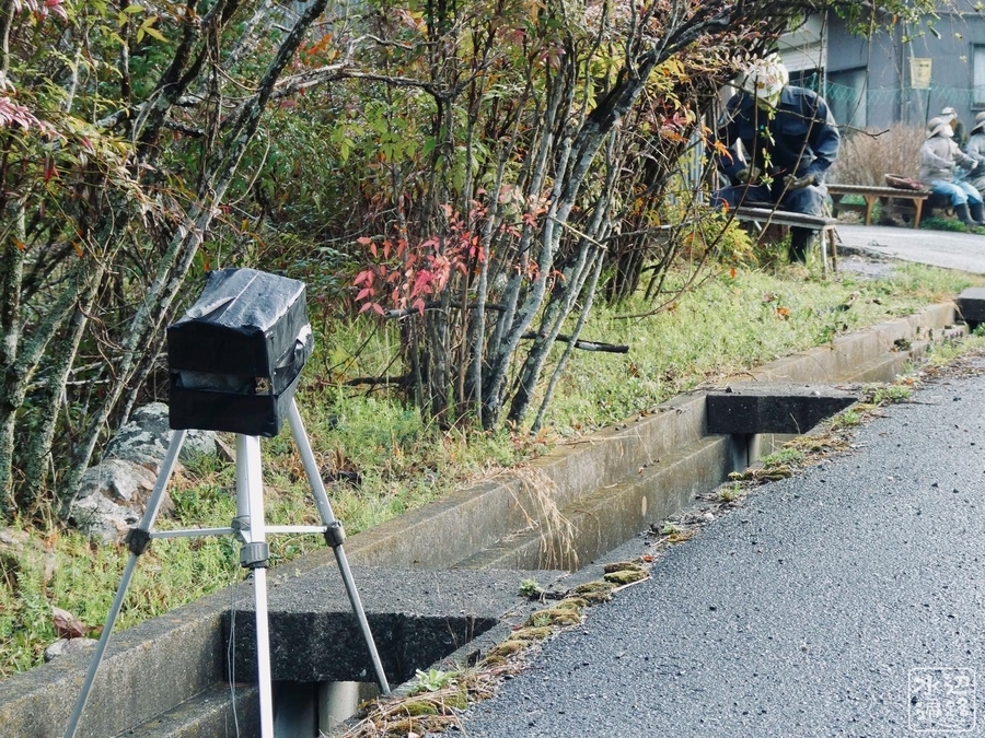 f:id:cippillo:20220120082422j:plain