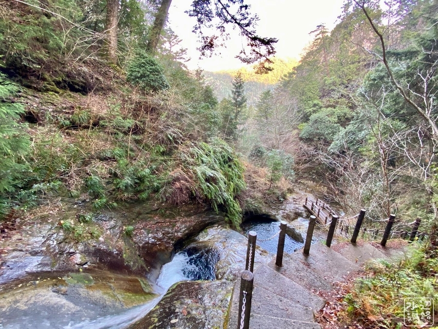 f:id:cippillo:20220120082459j:plain