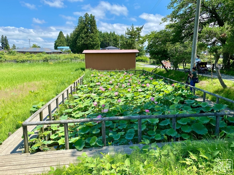 f:id:cippillo:20220121135126j:plain