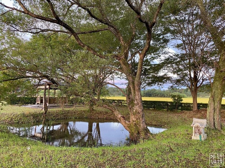 f:id:cippillo:20220122093328j:plain