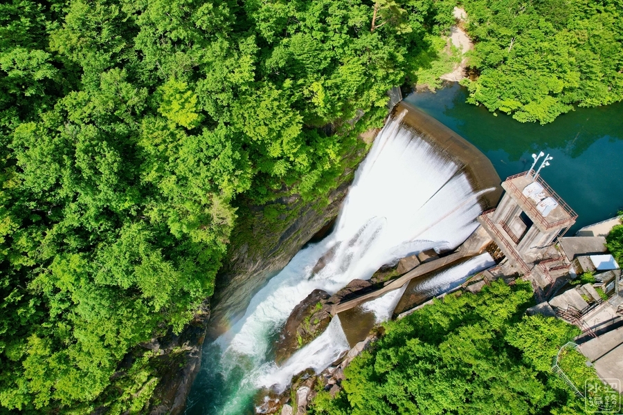 f:id:cippillo:20220122103003j:plain