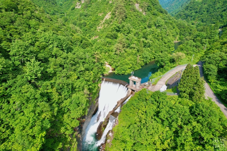 f:id:cippillo:20220122103043j:plain