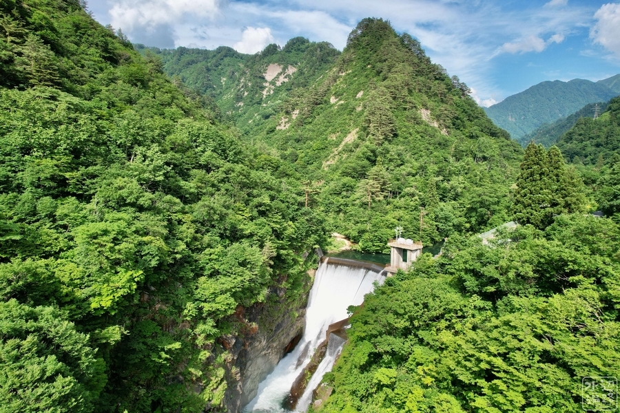 f:id:cippillo:20220122103056j:plain