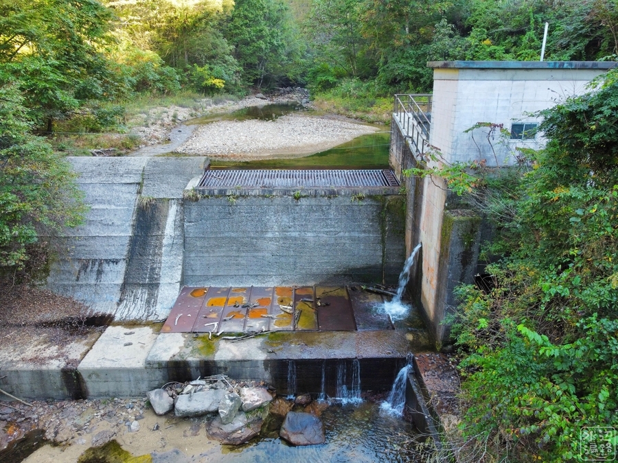 f:id:cippillo:20220128090020j:plain