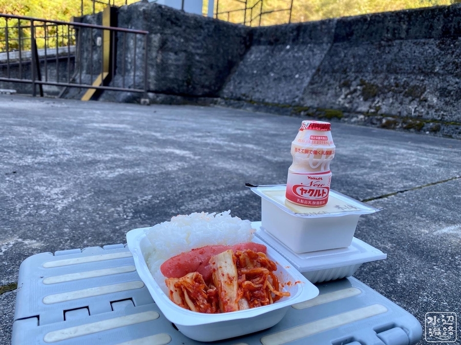 f:id:cippillo:20220128090237j:plain