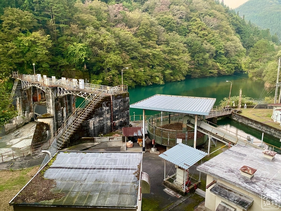 f:id:cippillo:20220128094415j:plain