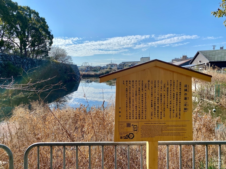 f:id:cippillo:20220203100856j:plain