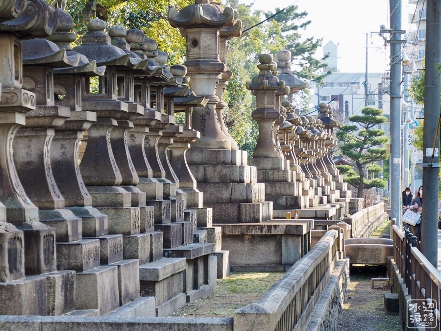 f:id:cippillo:20220203124655j:plain