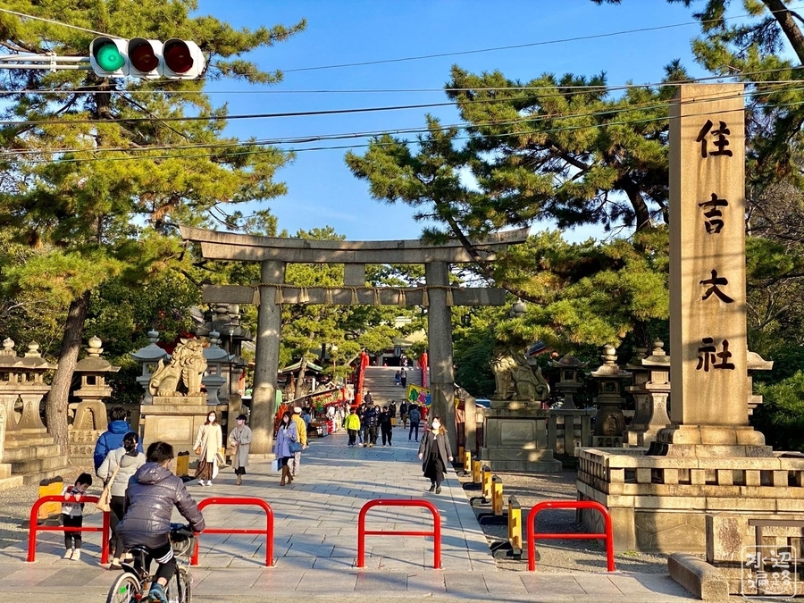 f:id:cippillo:20220203124705j:plain