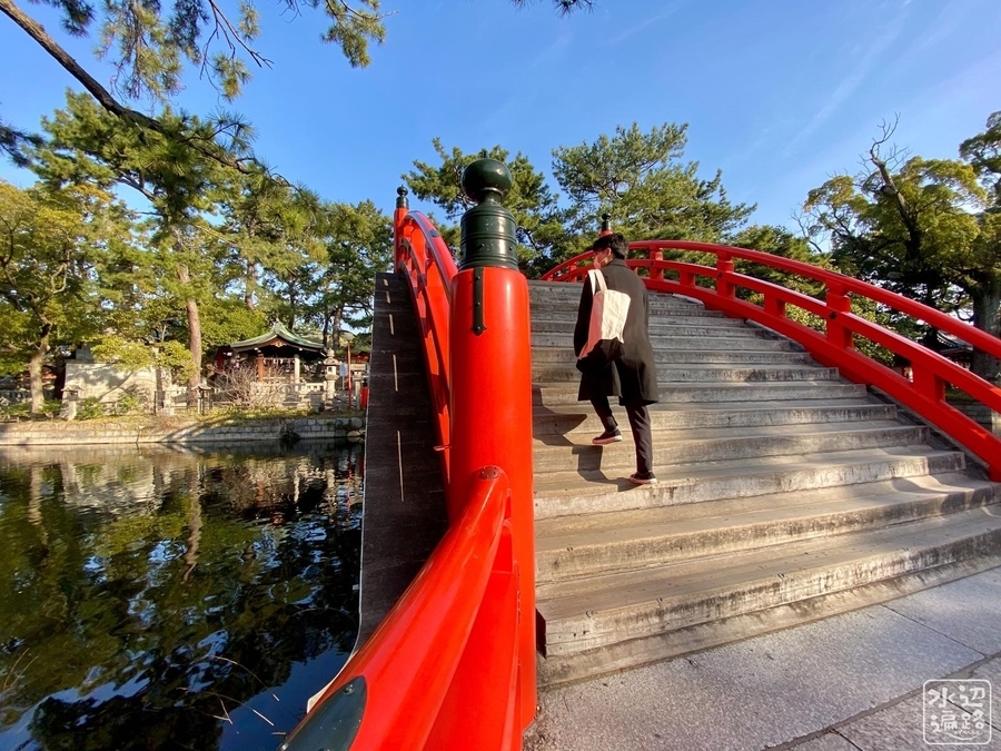 f:id:cippillo:20220203124711j:plain