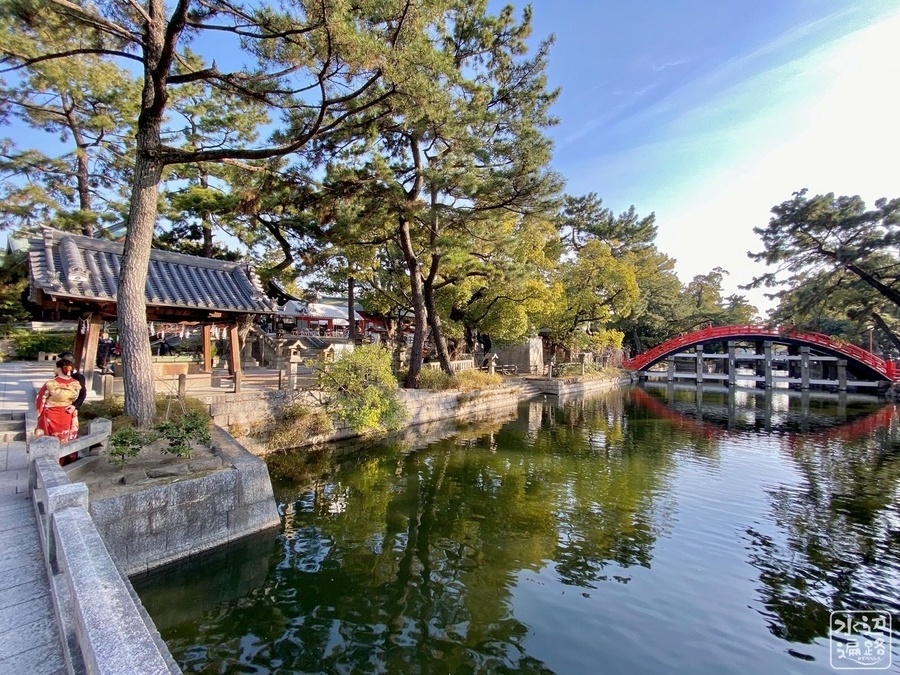 f:id:cippillo:20220203124717j:plain