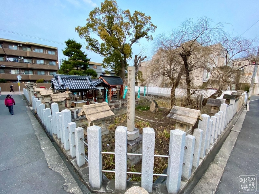 f:id:cippillo:20220203185515j:plain