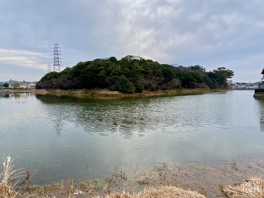 f:id:cippillo:20220203205447j:plain