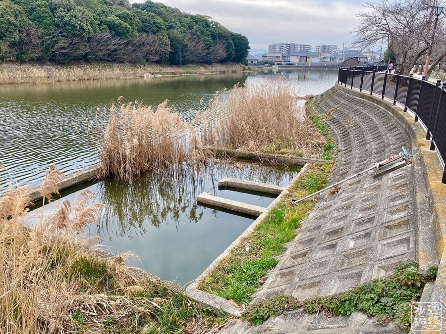 f:id:cippillo:20220203205505j:plain