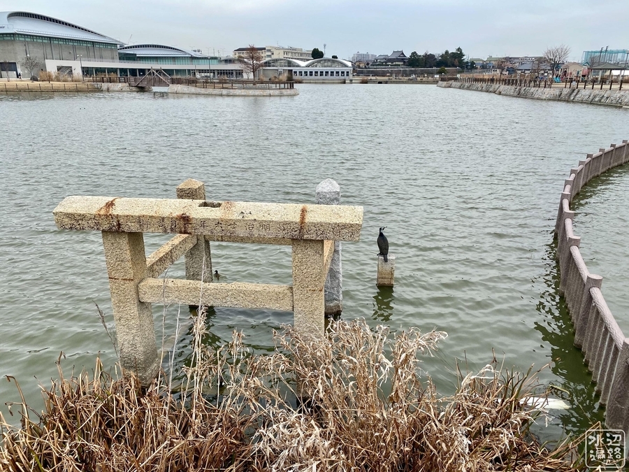 f:id:cippillo:20220203214132j:plain