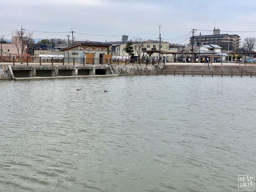 f:id:cippillo:20220203214139j:plain