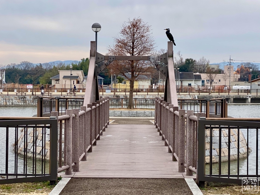 f:id:cippillo:20220203214152j:plain