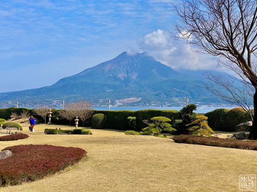 f:id:cippillo:20220214093332j:plain