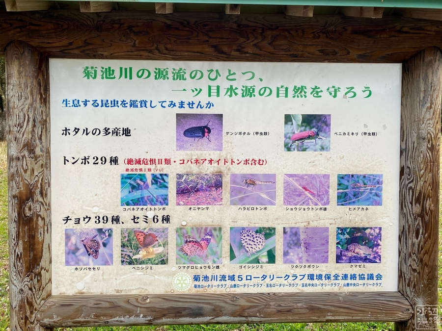 f:id:cippillo:20220217005137j:plain