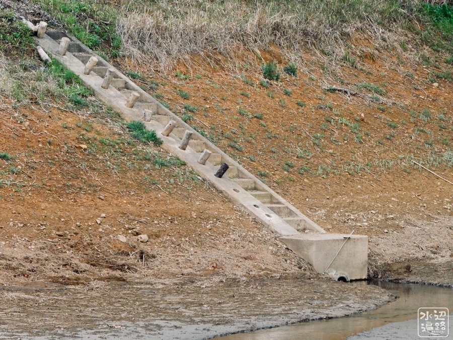 f:id:cippillo:20220217005146j:plain