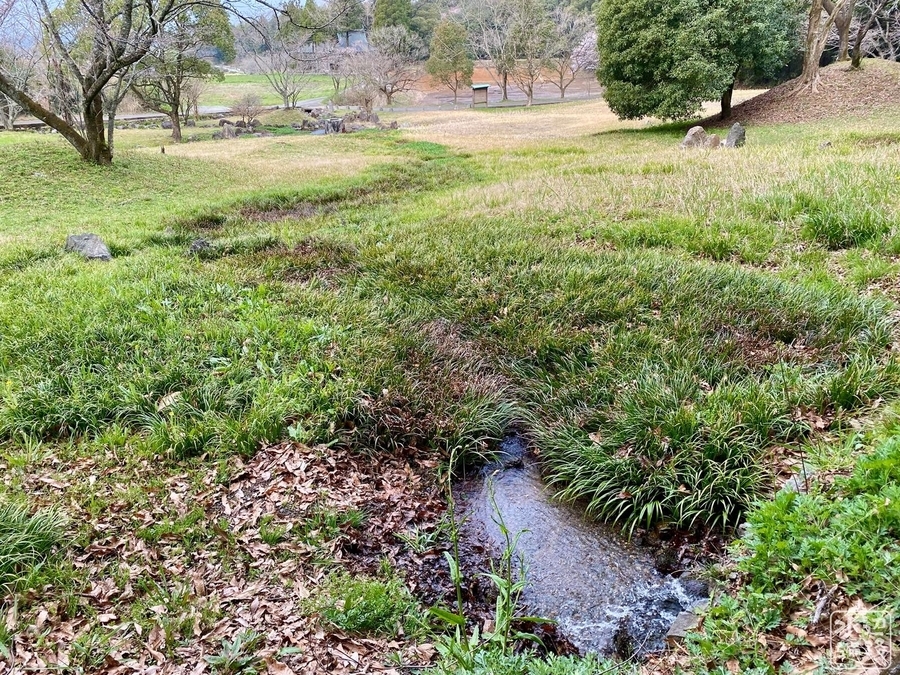 f:id:cippillo:20220217005157j:plain