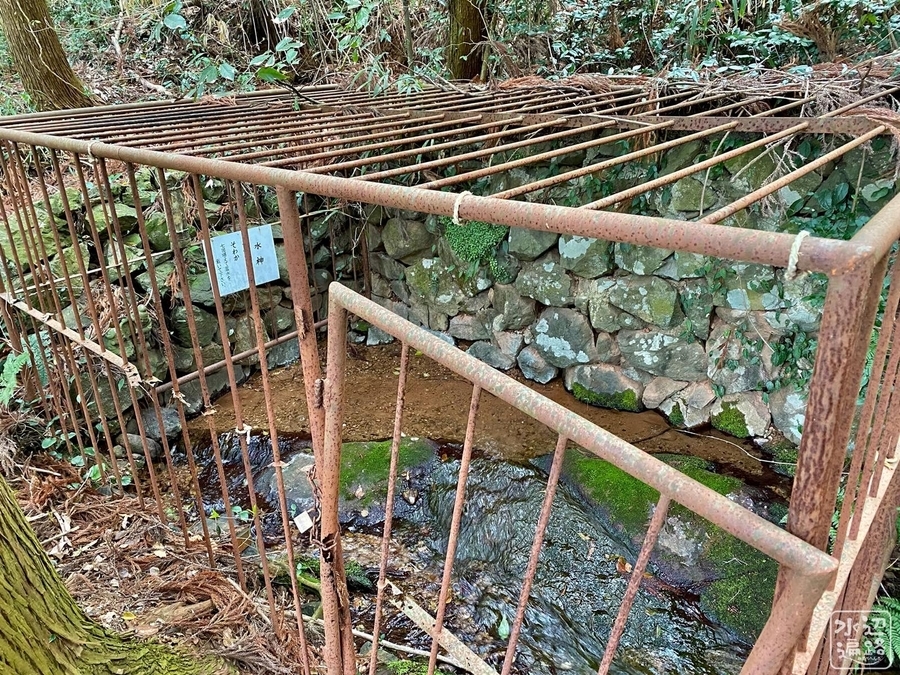 f:id:cippillo:20220217005210j:plain