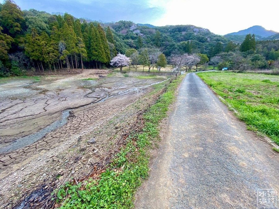 f:id:cippillo:20220217005240j:plain