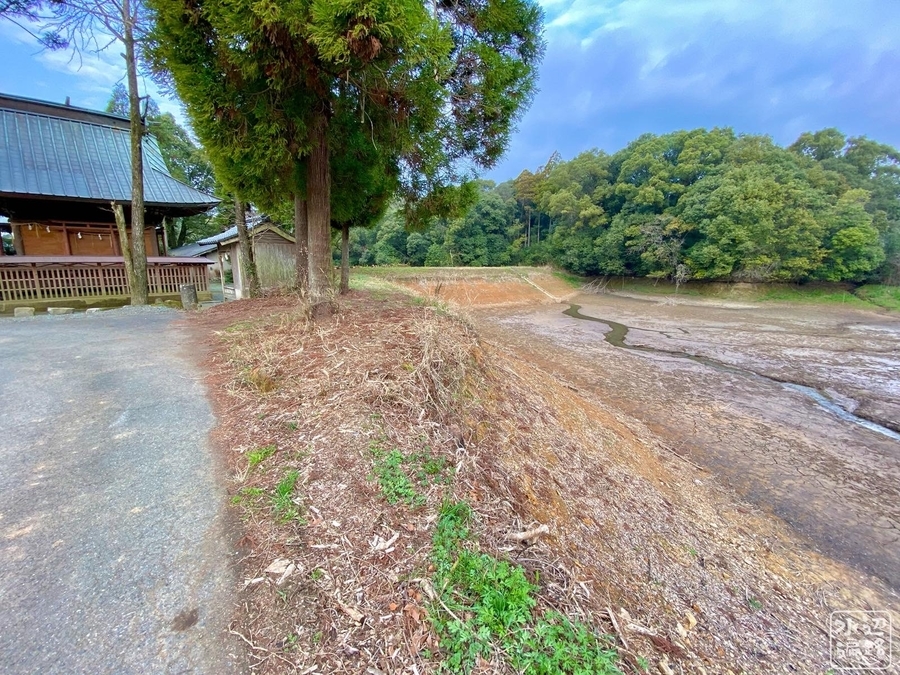 f:id:cippillo:20220217005245j:plain