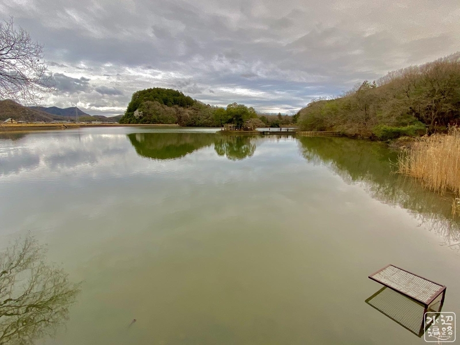 f:id:cippillo:20220219092337j:plain