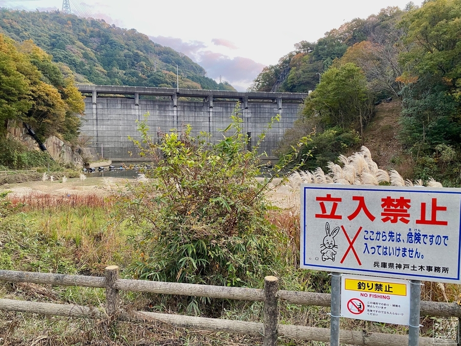 f:id:cippillo:20220221095013j:plain