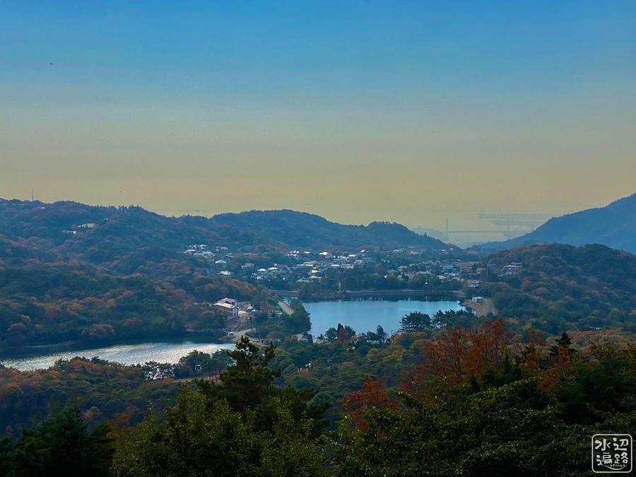 f:id:cippillo:20220221124607j:plain